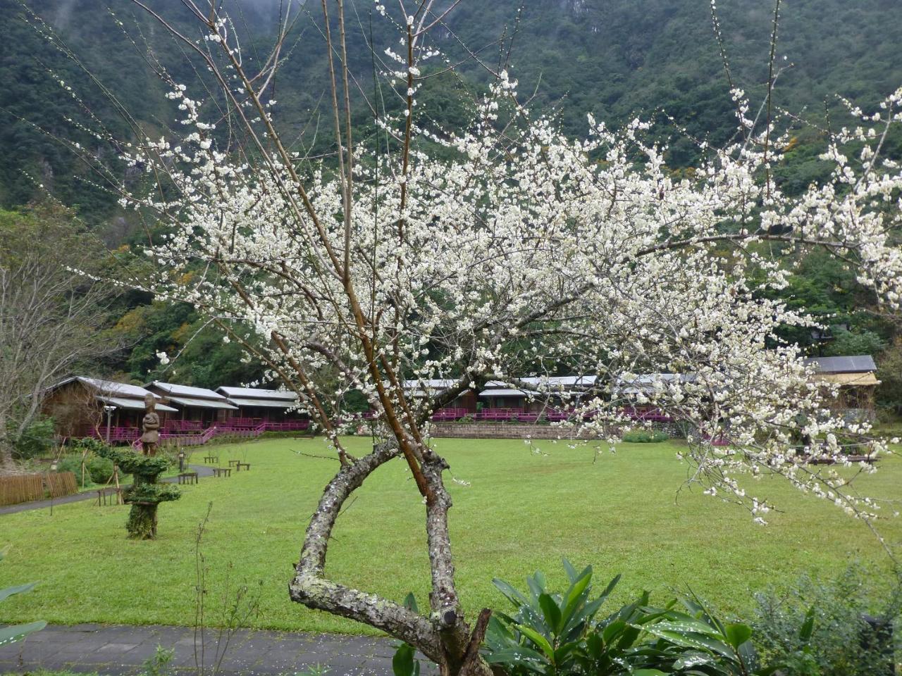 Taroko Village Hotel Fushi Esterno foto
